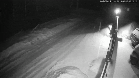 Ложные срабатывания датчика движений на снег