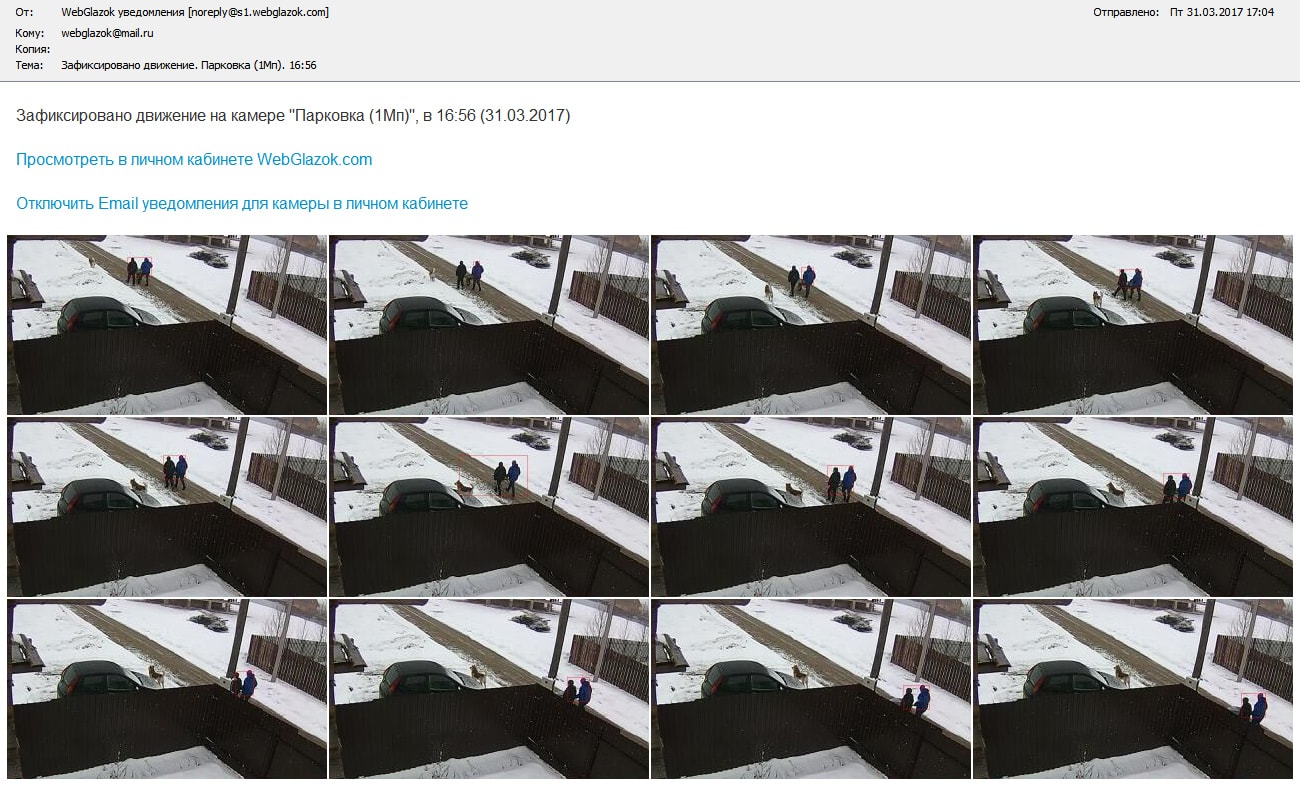 Уведомление об обнаружении движения в кадре