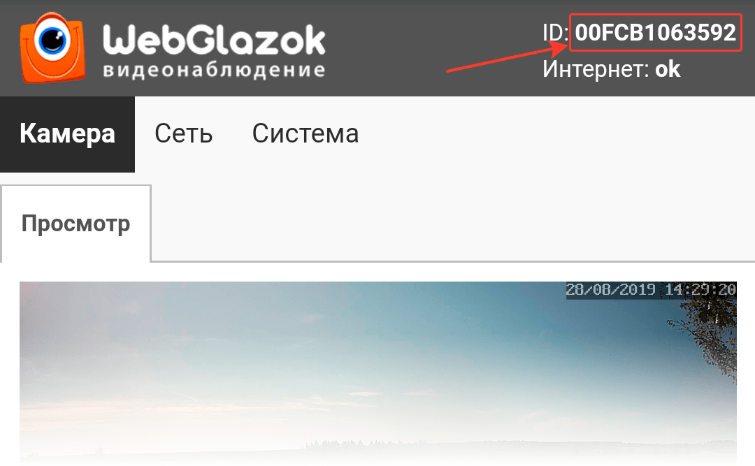 ID камеры в веб-панели камеры